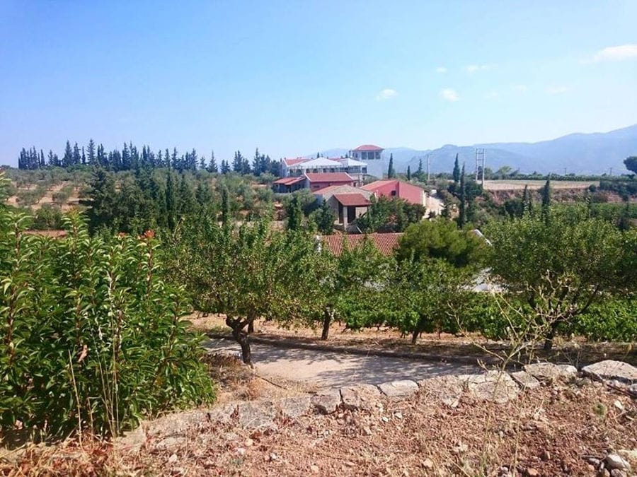 trees and blue sky front the Chateau Kaniaris winery buildings